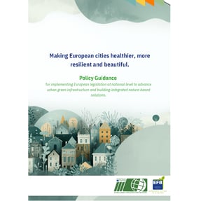 EU-GI-policy-guidelines-paper-front-white-bacckground