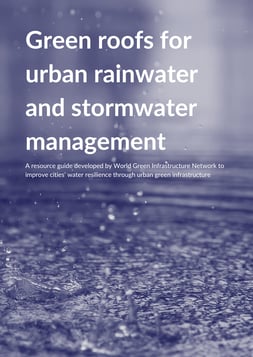 Stormwater management paper_EF